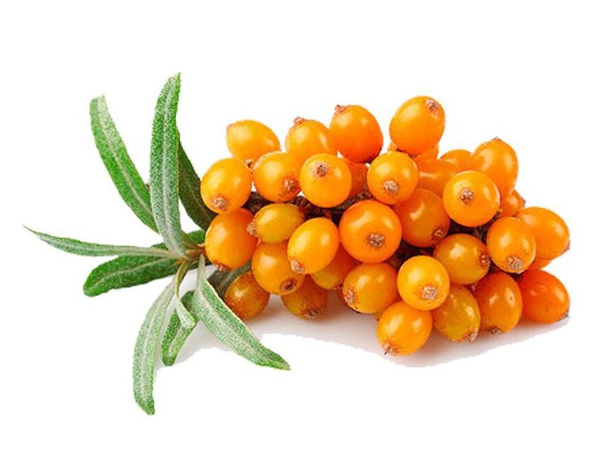 Sea buckthorn, helps normalize the activity of the prostate gland in prostatitis